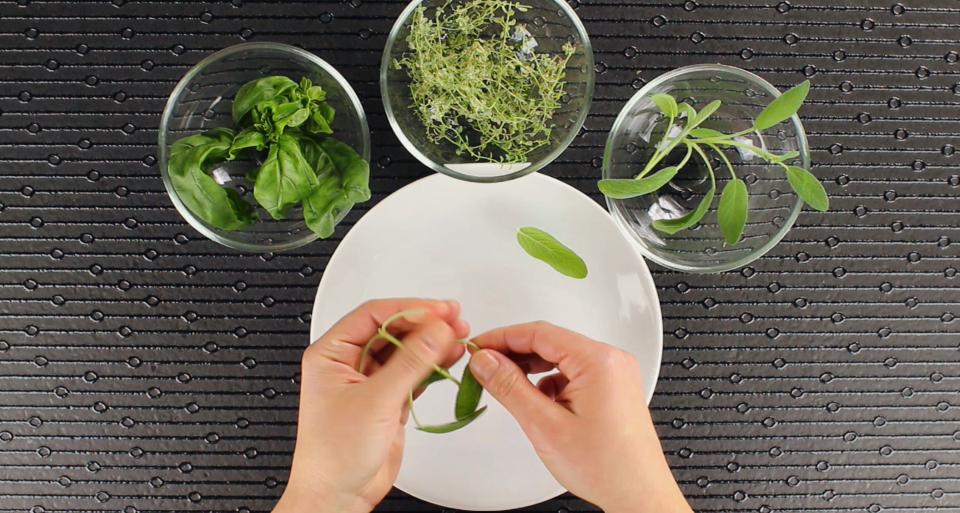 Fresh aromatic herbs any day of the year? With Freddy you can!