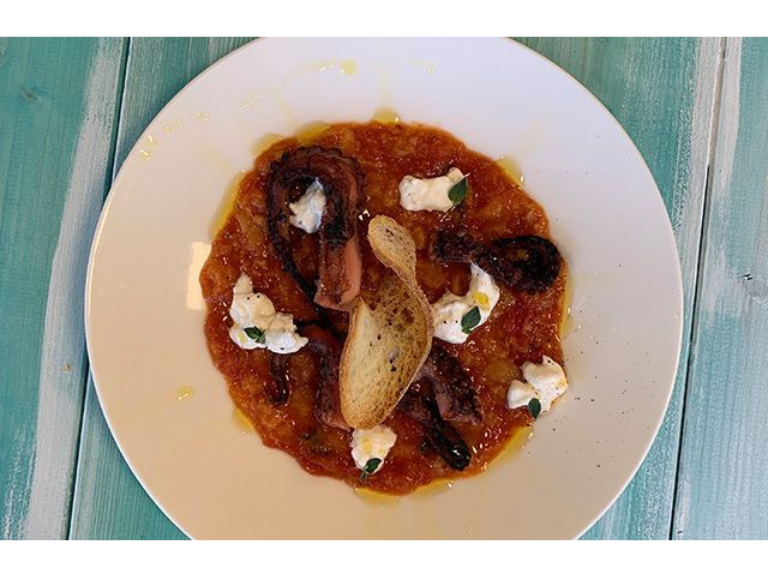 Tomato soup, grilled octopus and burrata