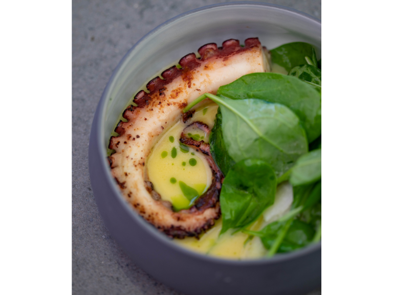 Borlotti bean and octopus soup with Fresco®